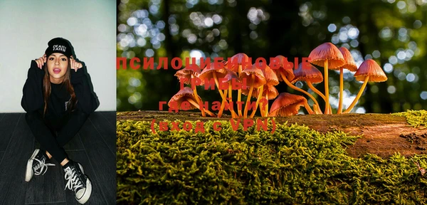 PSILOCYBIN Абинск