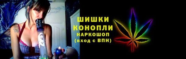 индика Абдулино