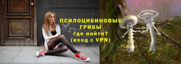 PSILOCYBIN Абинск