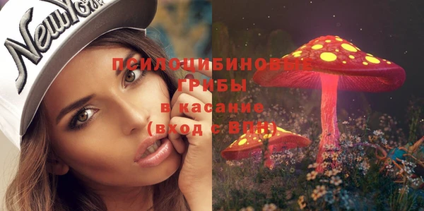 PSILOCYBIN Абинск
