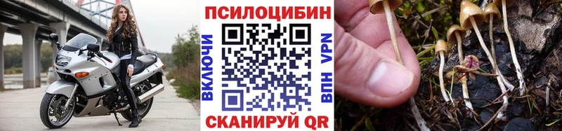 Псилоцибиновые грибы прущие грибы Болотное